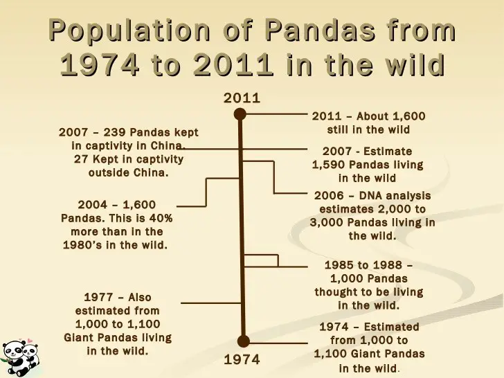 panda population