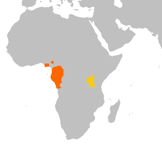 Gorilla Habitat Map