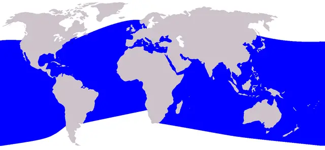 Dolphin Habitat Map - Map Of Where Dolphins Live