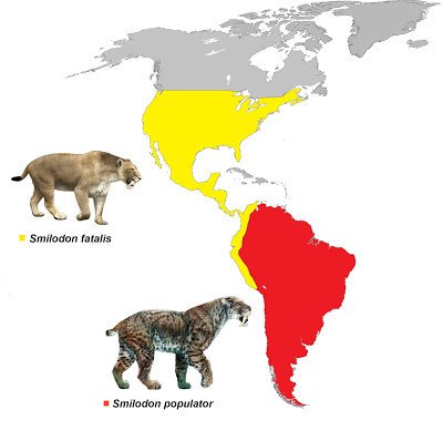saber tooth cats map
