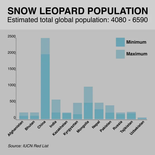 Snow Leopard Population Graph