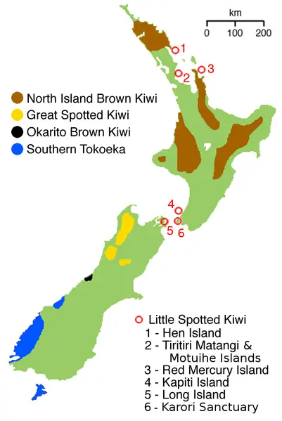 Kiwi Bird Habitat Map - Kiwi Bird Range