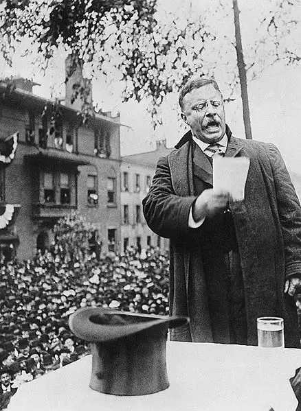 Theodore Roosevelt Campaign