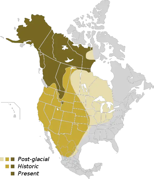 Where Do Grizzly Bears Live Map