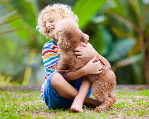 Benefits of Pet Companionship for Children