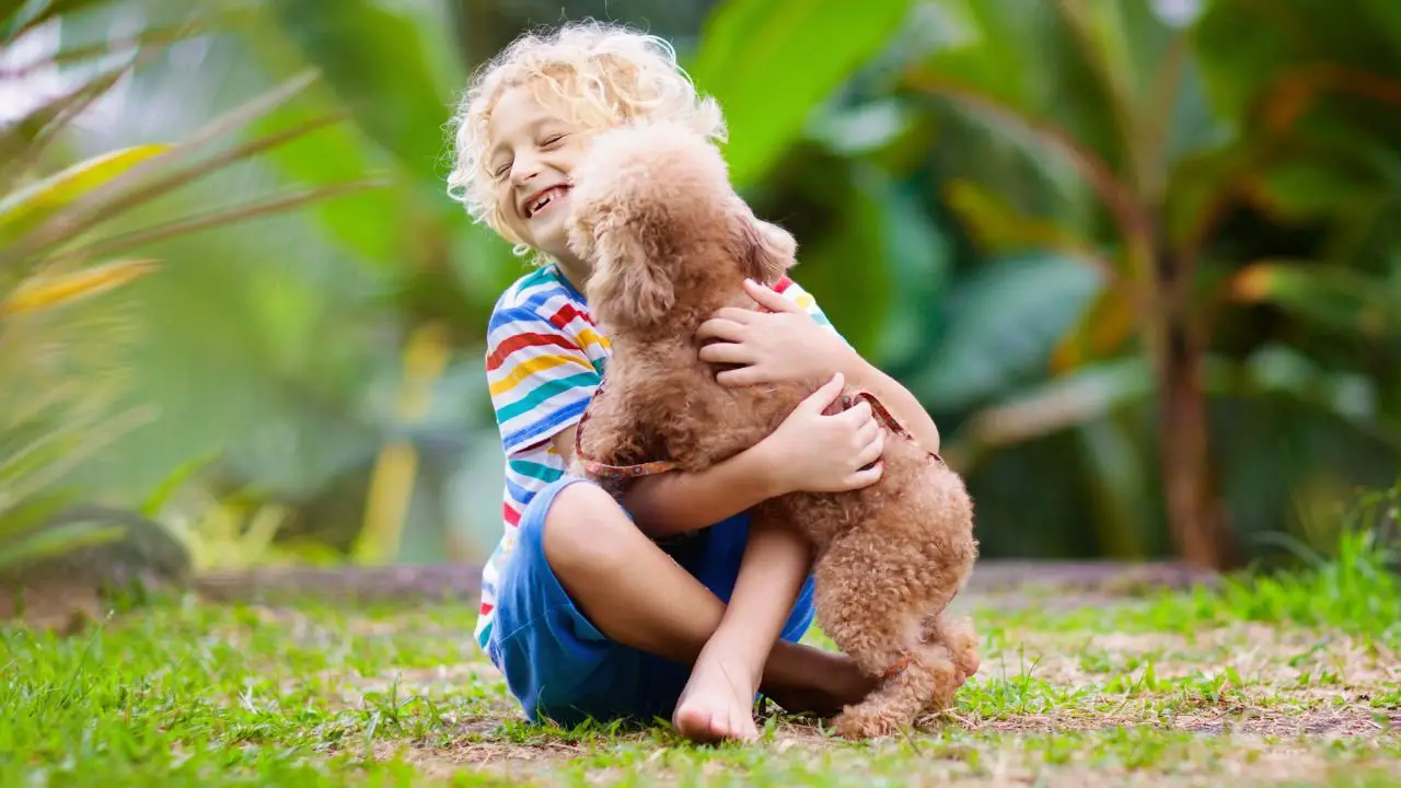 Selecting the Perfect Pet: How to Choose a Companion for Your Child’s Growth and Well-being