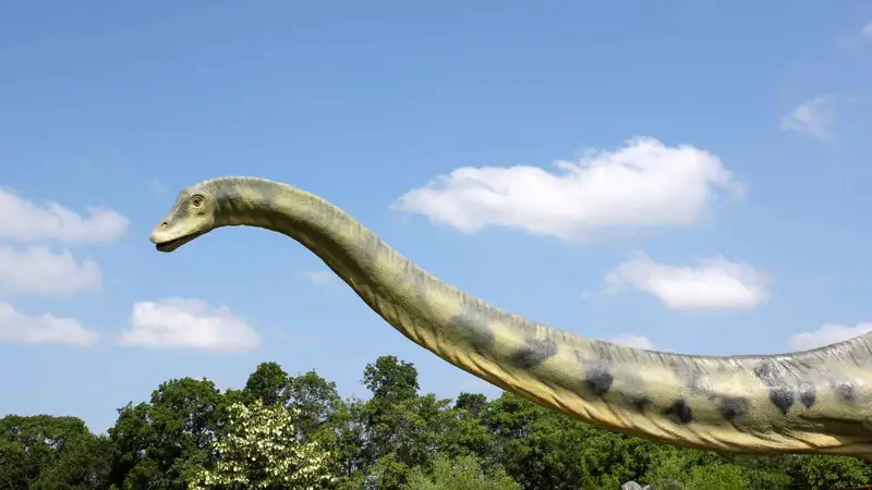 Brontosaurus Facts For Kids –  Discover the Giant of the Jurassic Era