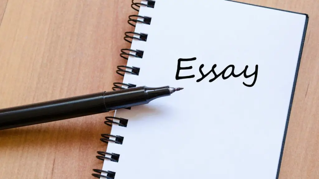 essay facts for kids