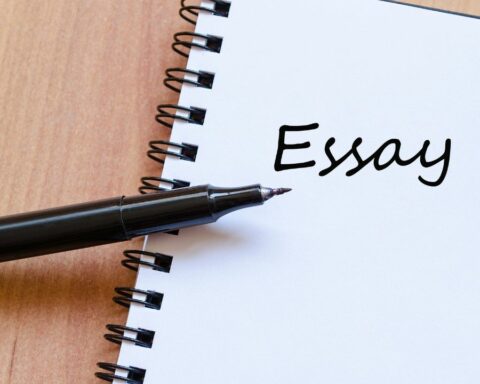 essay facts for kids