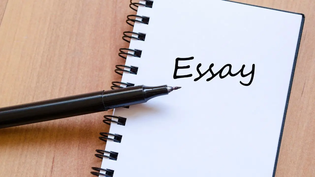 Essay Facts for Kids 