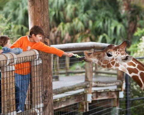 Biggest Zoo in America