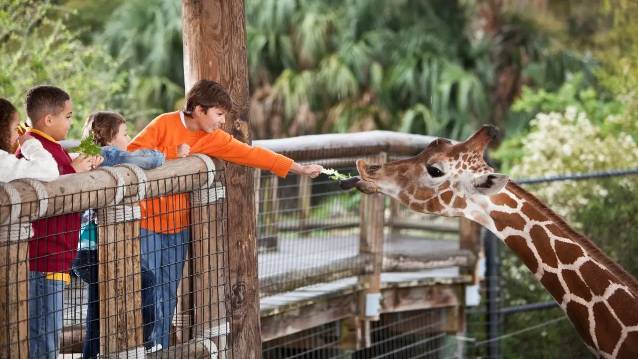 The Ultimate Guide to the Biggest Zoo in America: San Diego & Omaha’s Henry Doorly