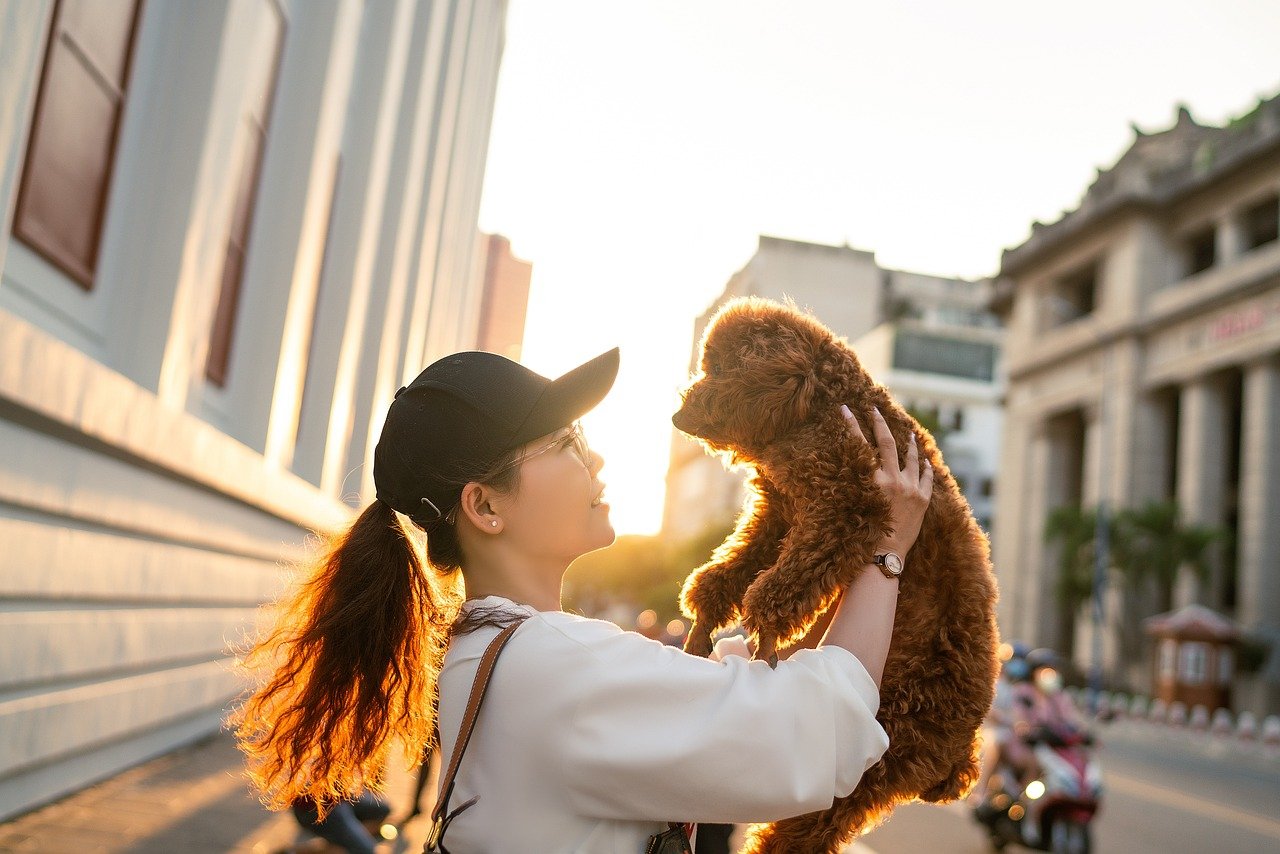 Traveling With Your Pets: 8 Key Facts to Have in Mind