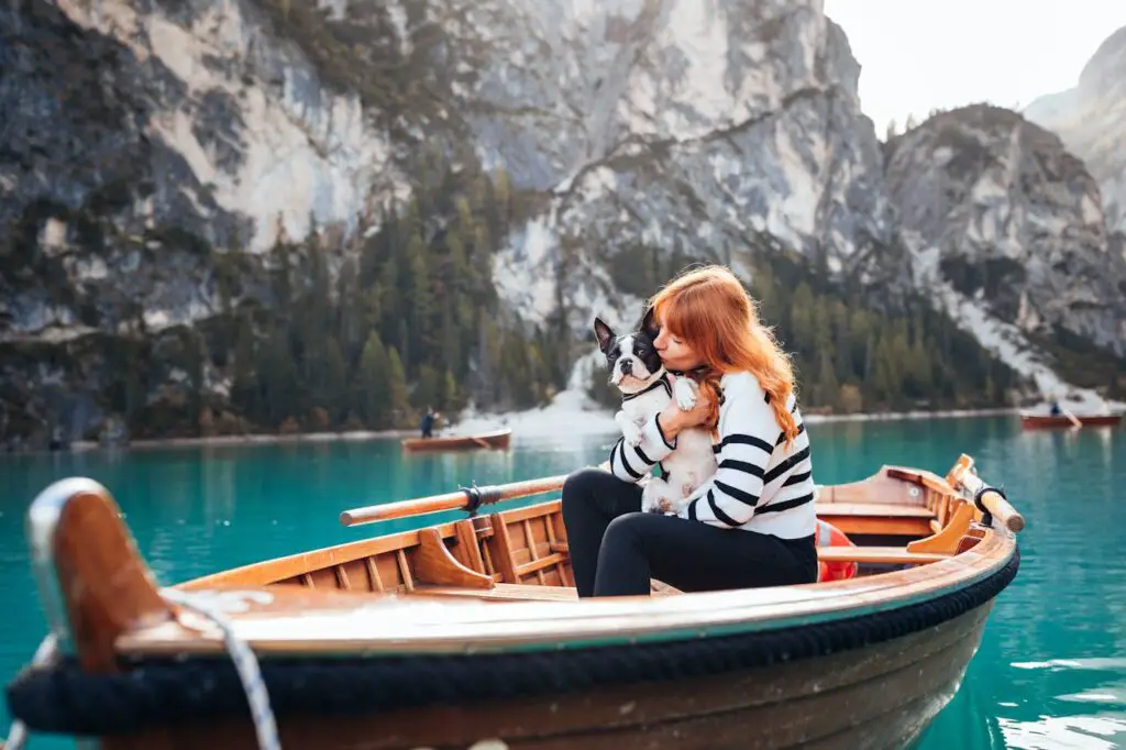 pet in boat