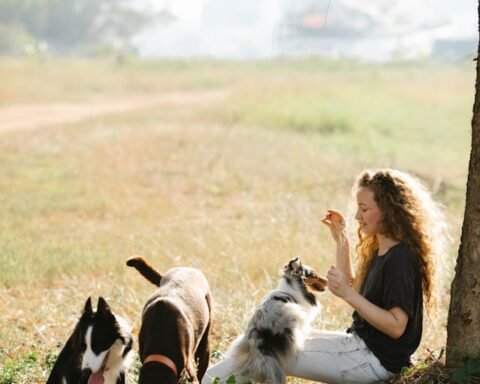 pets