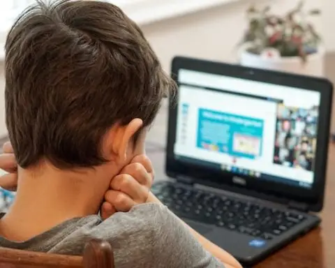 Online Students