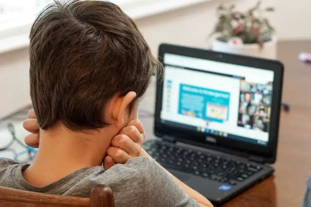 Online Students